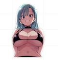 Belmi- Fishnet Sticker