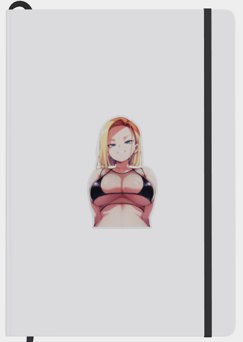 AI18- Fishnet sticker